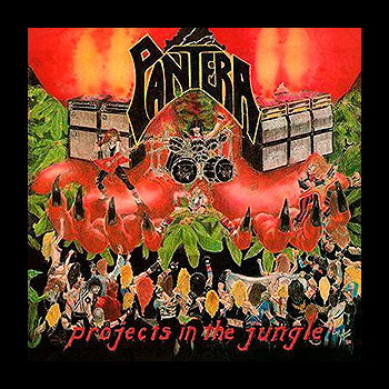 PANTERA - Projects in the Jungle