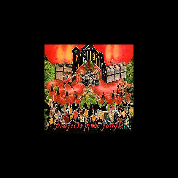 PANTERA - Projects in the Jungle