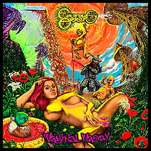 FATAL ERROR - Vaginal Nasvay