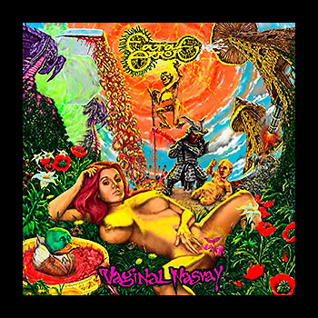 FATAL ERROR - Vaginal Nasvay