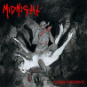 MIDNIGHT - Rebirth by Blasphemy