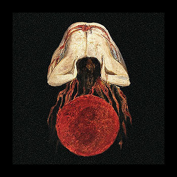 PNEUMA HAGION - Voidgazer + Rituals of Extinction