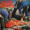 DEAD INFECTION - World Full of Remains