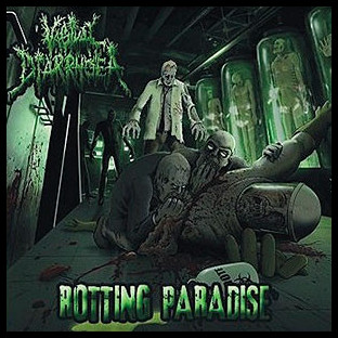 VAGINAL DIARRHOEA - Rotting Paradise