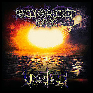 RECONSTRUCTED TORSO - Varied