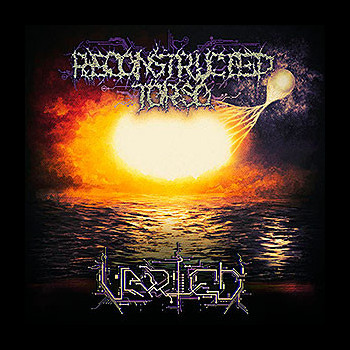 RECONSTRUCTED TORSO - Varied