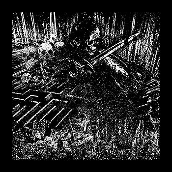 SCHIZO/CO2 - Total Insanity Split