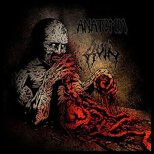 ANATOMIA/RUIN - Split LP
