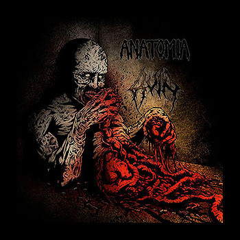 ANATOMIA/RUIN - Split LP