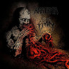 ANATOMIA/RUIN - Split LP
