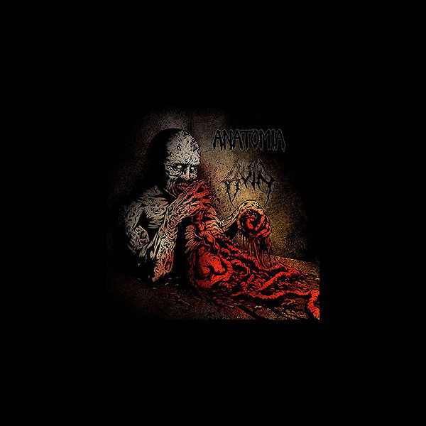 ANATOMIA/RUIN - Split LP