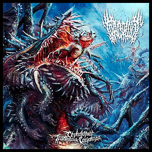 TRACRIOMY - Cephalopodic Transmutual Contamination