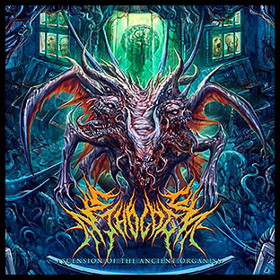 ETHOLOGY - Ascension of the Ancient Organism