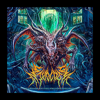 ETHOLOGY - Ascension of the Ancient Organism