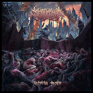 SEPTYCEMIA - Yersinia Pestis