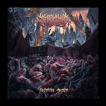 SEPTYCEMIA - Yersinia Pestis