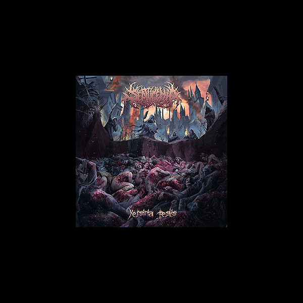 SEPTYCEMIA - Yersinia Pestis