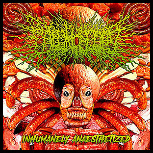 COLONOSCOPY - Inhumanely Anaesthetized