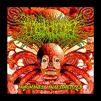 COLONOSCOPY - Inhumanely Anaesthetized