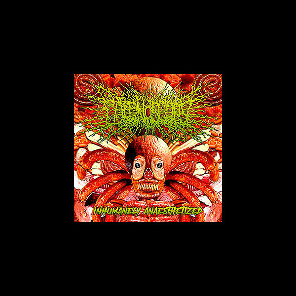 COLONOSCOPY - Inhumanely Anaesthetized