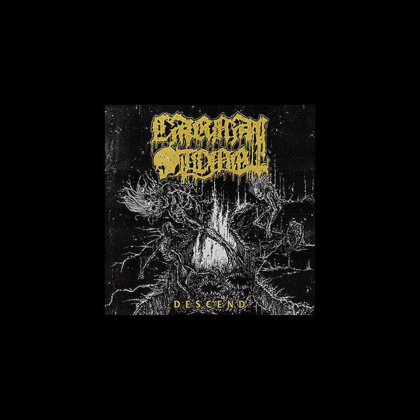 CARNAL TOMB - Descend