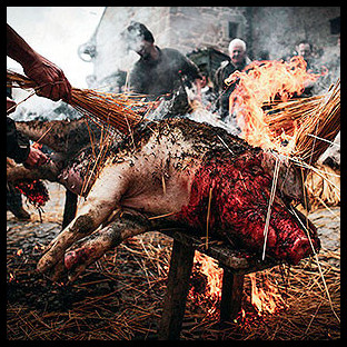 HOLOCAUSTO CANIBAL - Crueza Ferina