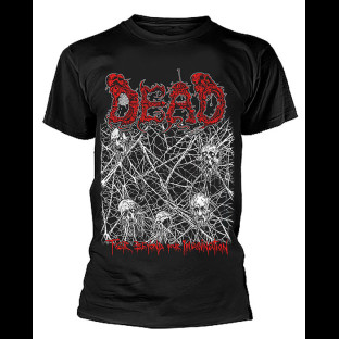 DEAD - Far Beyond Your Imagination