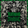 NASHGUL / TEETHING - Split LP
