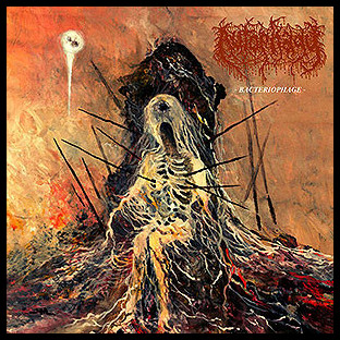 AUTOPHAGY - Bacteriophage