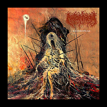 AUTOPHAGY - Bacteriophage