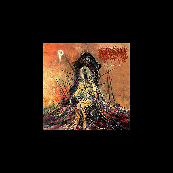 AUTOPHAGY - Bacteriophage