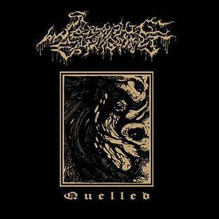 SERAPHIC ENTOMBMENT - Quelled