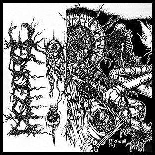 DISGORGE (mex) - Through the Innards