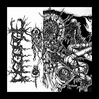 DISGORGE (mex) - Through the Innards