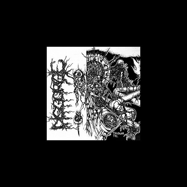 DISGORGE (mex) - Through the Innards