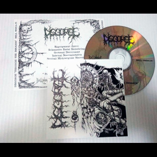 DISGORGE (mex) - Through the Innards