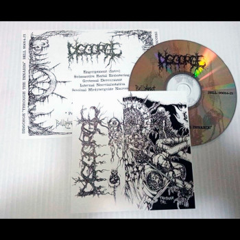 DISGORGE (mex) - Through the Innards