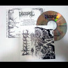 DISGORGE (mex) - Through the Innards
