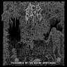 ACID BIRTH - Pleasures of the Divine Grotesque