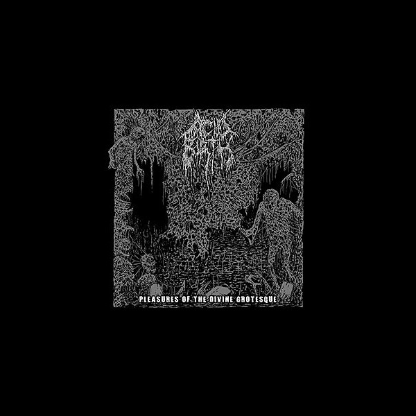 ACID BIRTH - Pleasures of the Divine Grotesque