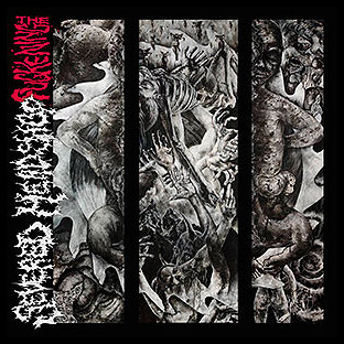 SEVERED HEADSHOP - The Fuckening