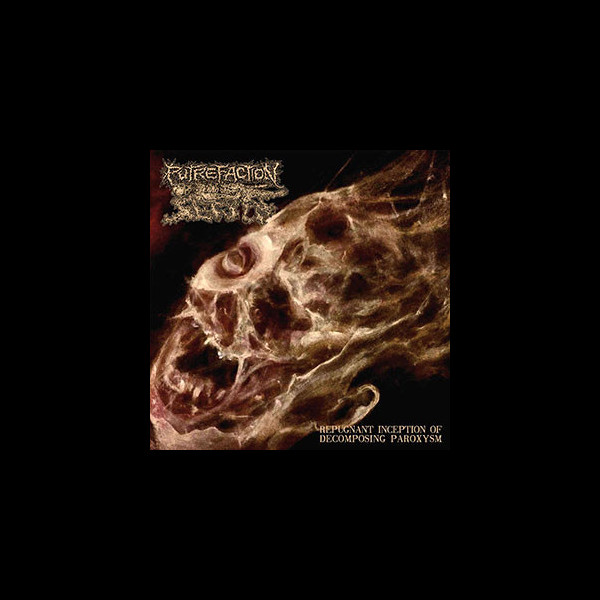 PUTREFACTION SETS IN - Repugnant Inception of Decomposing Paroxysm