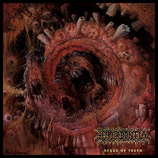 HYPERDONTIA - Nexus of Teeth