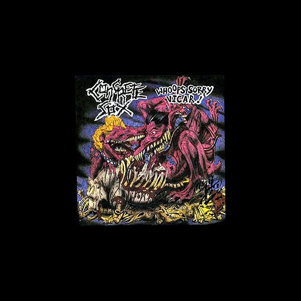 CONCRETE SOX - Whoops Sorry Vicar!