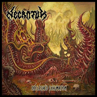 NECROTUM - Defleshed Exhumation