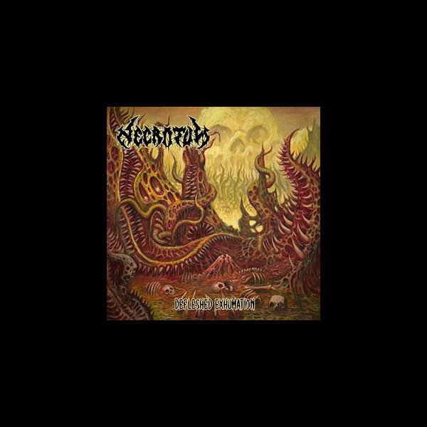 NECROTUM - Defleshed Exhumation
