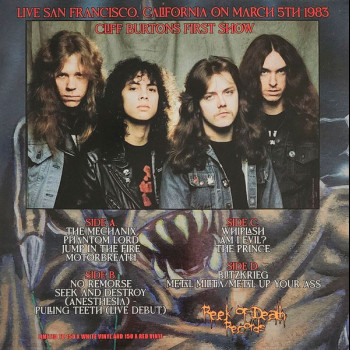 METALLICA - Destroy Newsted