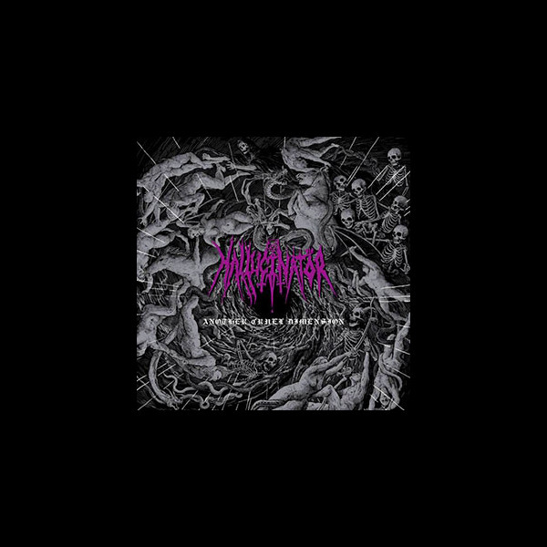 HALLUCINATOR - Another Cruel Dimension