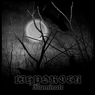 LIHPORCEN - Illuminate