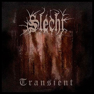 SLECHT - Transient